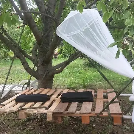 Arnyas, Nyugodt Siofokon Nagy Kerttel