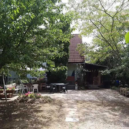 Arnyas, Nyugodt Siofokon Nagy Kerttel