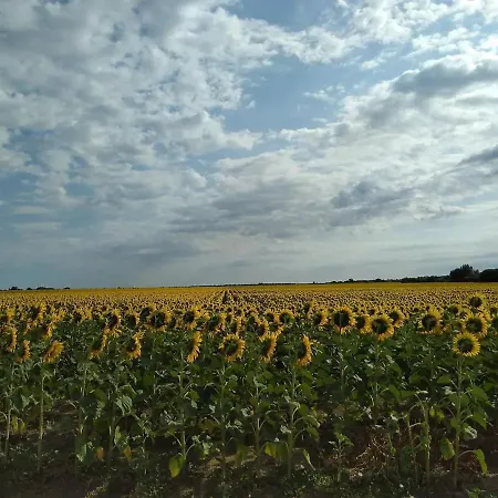 Arnyas, Nyugodt Siofokon Nagy Kerttel *