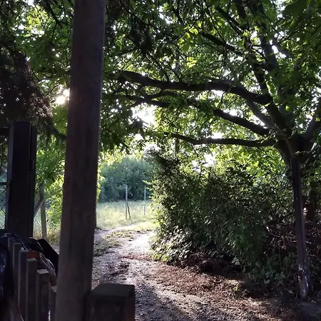 Arnyas, Nyugodt Siofokon Nagy Kerttel Appartement