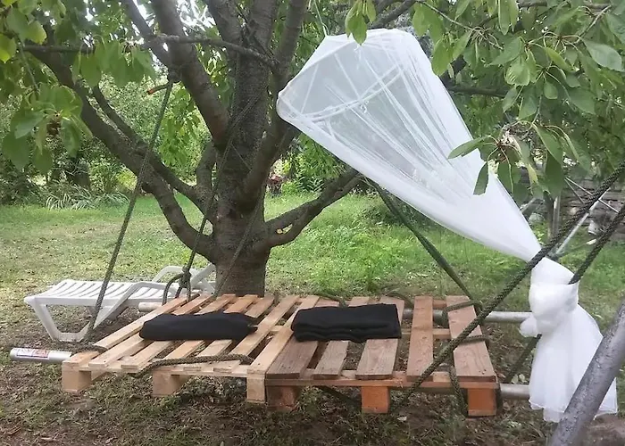 Arnyas, Nyugodt Siofokon Nagy Kerttel