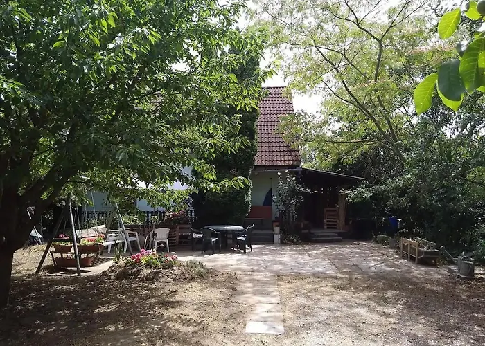 Arnyas, Nyugodt Siofokon Nagy Kerttel