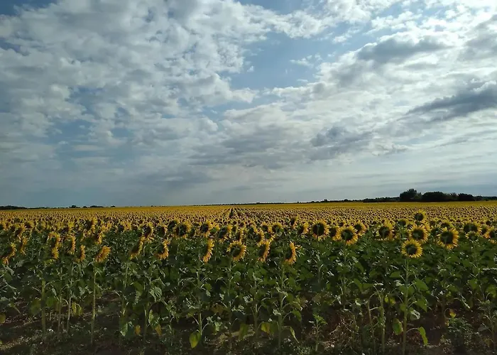 Arnyas, Nyugodt Siofokon Nagy Kerttel *