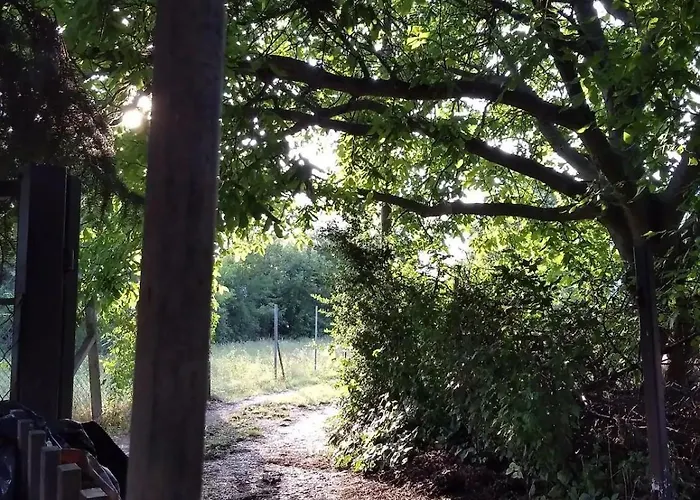 Arnyas, Nyugodt Siofokon Nagy Kerttel Apartmán